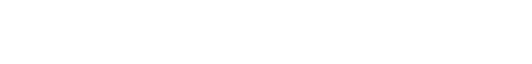 logo light
